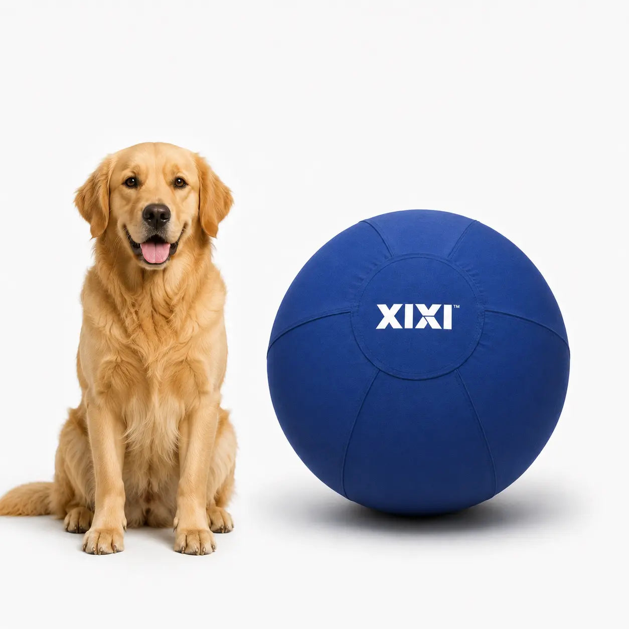 Xixipup Interactive Outdoor Herding Ball for High-Energy Dogs, Heavy-Duty Oxford Cover Inflatable Exercise & Training Toy, 18/22/25 in Campingessentials