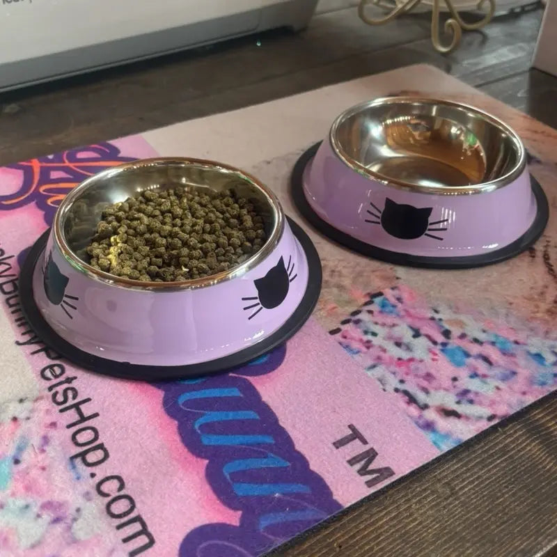 Stainless Steel Cat Kitten Feeding Bowls Set of 2 - Vibrant Kitty Print, Rubber Bottom for Stability, Ideal Serving Size for Pet Treats (Non-Smart, Dish Alternative Option)
