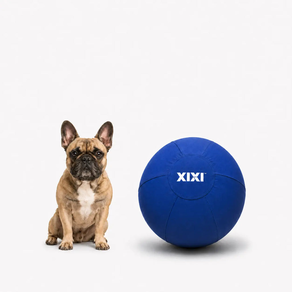 Xixipup Interactive Outdoor Herding Ball for High-Energy Dogs, Heavy-Duty Oxford Cover Inflatable Exercise & Training Toy, 18/22/25 in Campingessentials