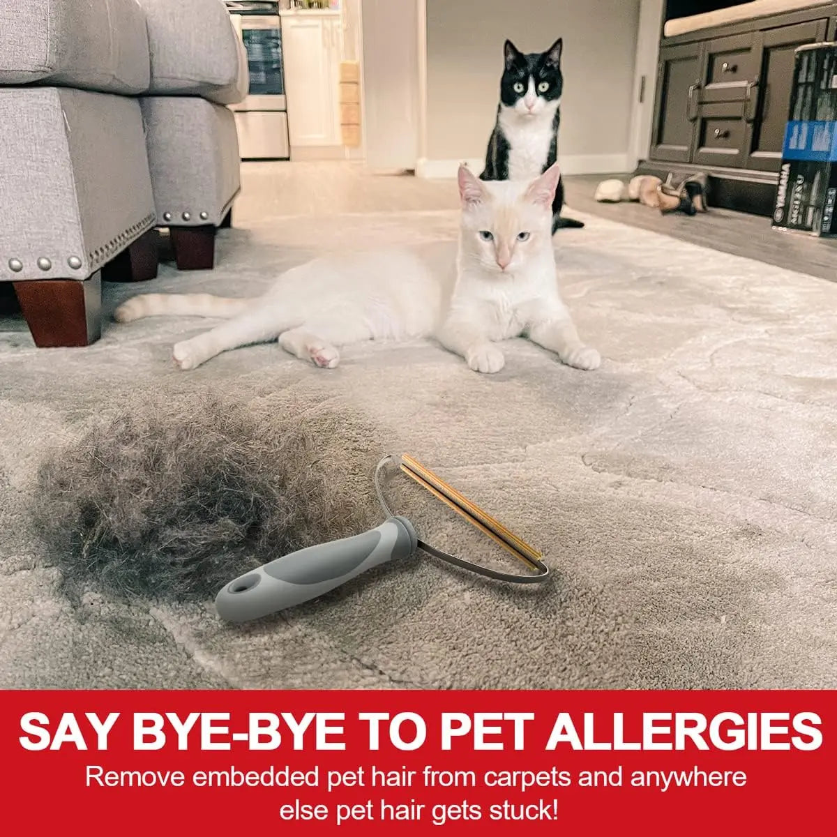 Cat Hair Remover, Portable Pet Hair Remover, Manual Pet Hair Remover Roller, Hair Removal Products for Carpets, Car Mats, Sofas, Pet Beds, Furniture, Dog Accessories