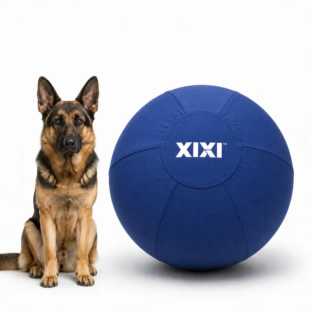 Xixipup Interactive Outdoor Herding Ball for High-Energy Dogs, Heavy-Duty Oxford Cover Inflatable Exercise & Training Toy, 18/22/25 in Campingessentials