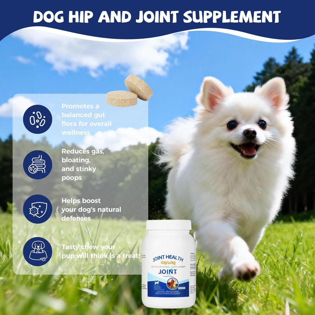 HAPWAG Dog Joint & Calcium Chews | Chicken Flavor Glucosamine Supplement for Hip & Bone Mobility, 100 Count