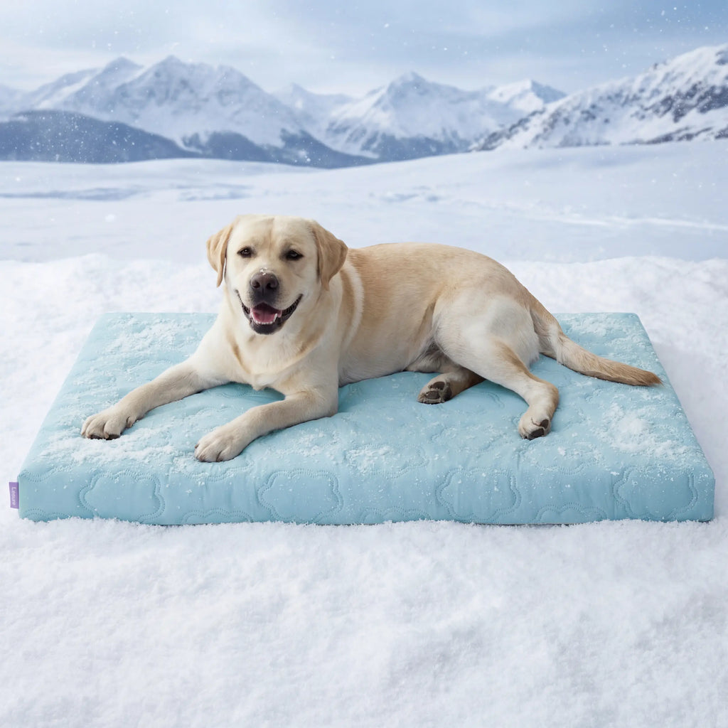 Bedsure Pet Cooling Blanket for Dogs & Cats, Washable Breathable Ice Throw for Couch & Bed
